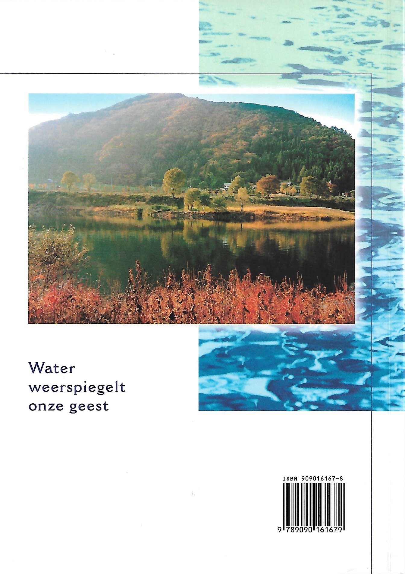 Boekomslag De boodschap van water - Masaru Emoto