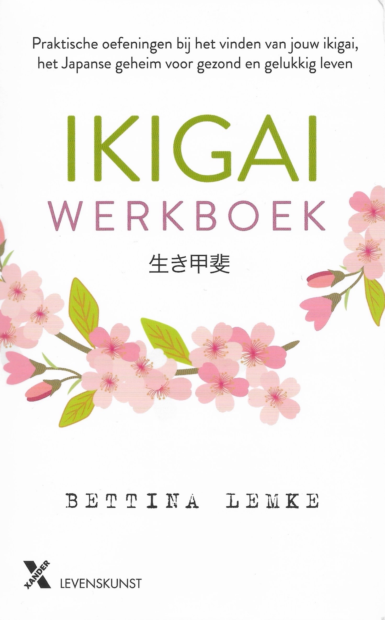 Boekomslag Ikigai werkboek - Bettina Lemke