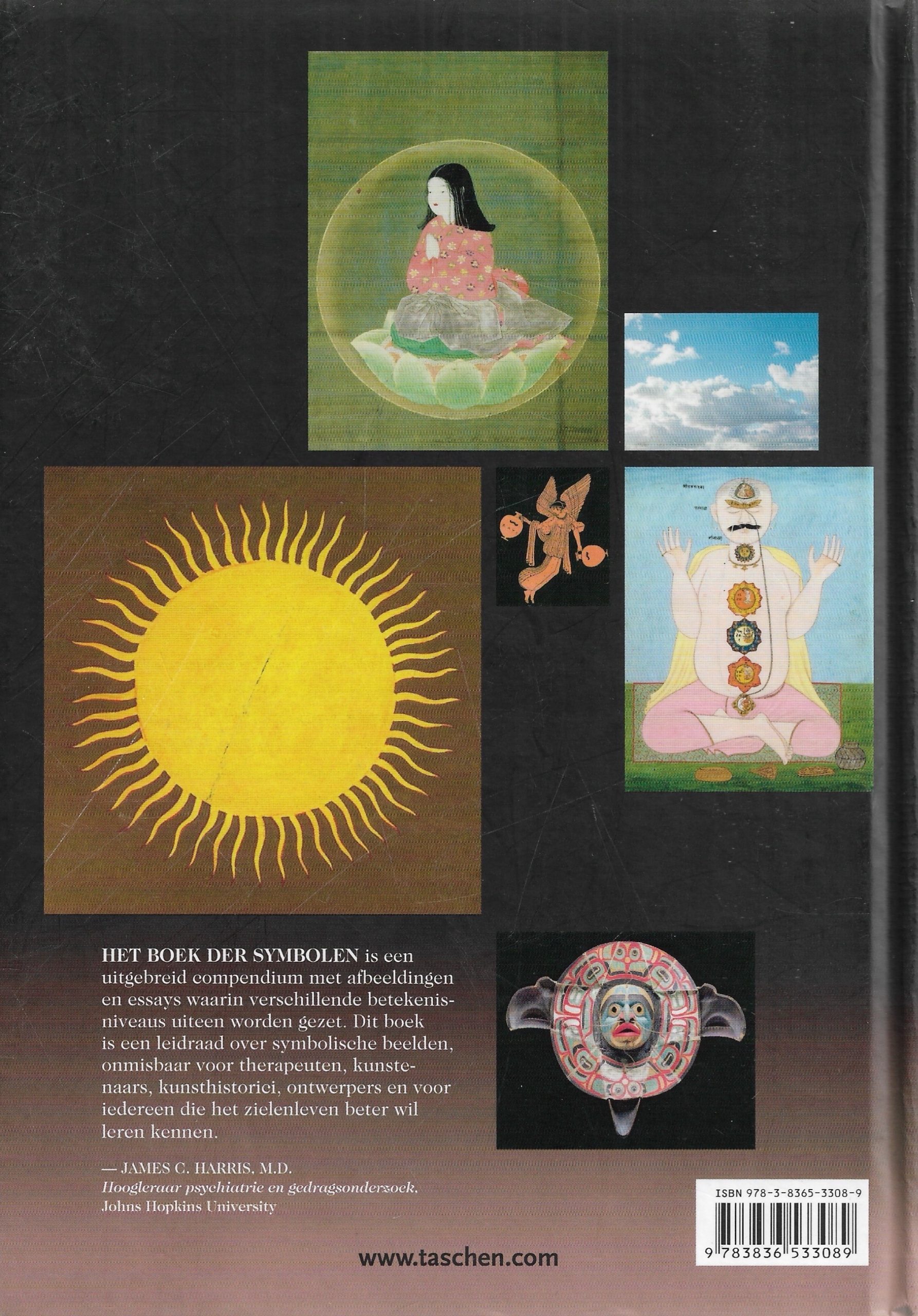 Boekomslag Het boek der symbolen - Ami Ronnberg & Kathleen Martin e.a.