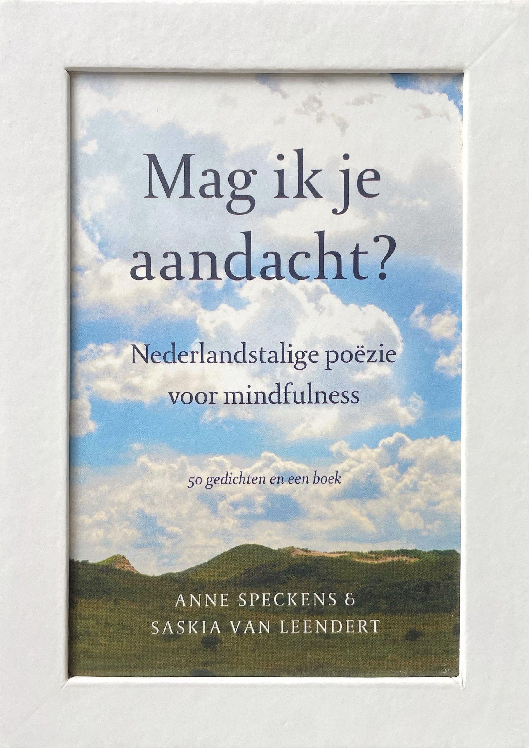 Doos Mag ik je aandacht? - Anne Speckens & Saskia van Leendert