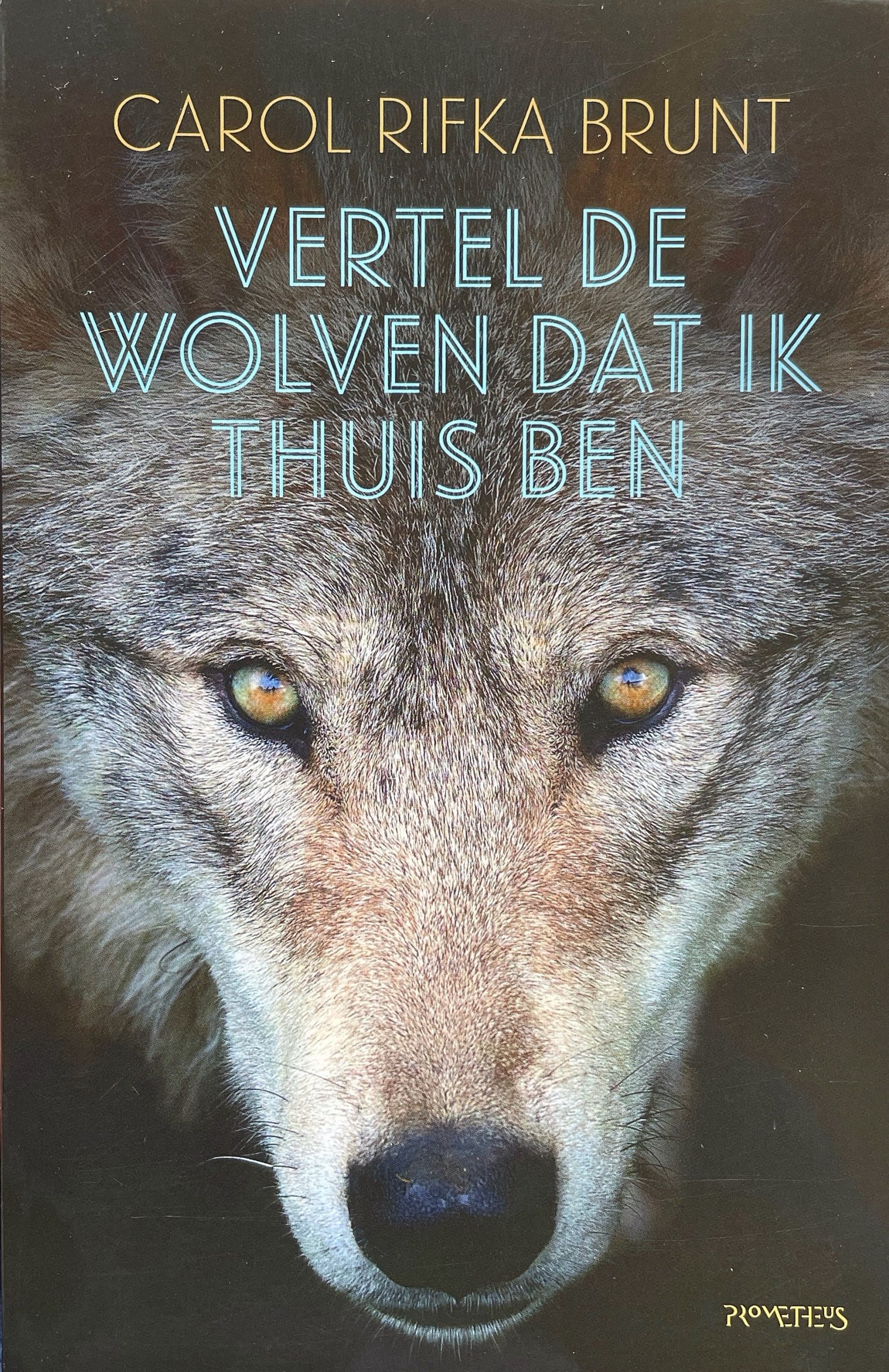 Boekomslag Vertel de wolven dat ik thuis ben - Carol Rifka Brunt